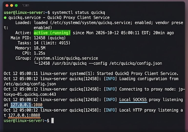 Ubuntu终端中QuickQ systemd守护进程正常运行状态回显